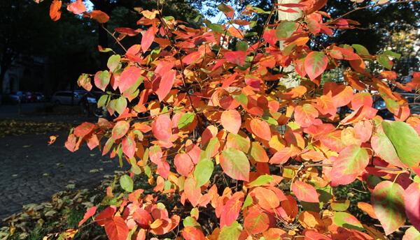 3. Musikalischer Kaiserherbst