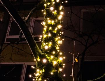News & Events	- Kaiserviertel in Dortmund